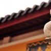 生活小知識：石獅子嘴里的小球是怎么放進去的？