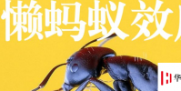 生活小知識:懶螞蟻效應是什么?