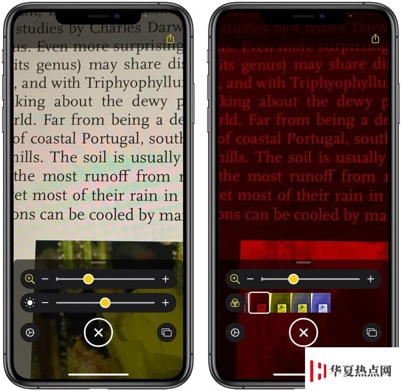 iOS 14 “放大器”功能全面改進：支持添加到主屏幕