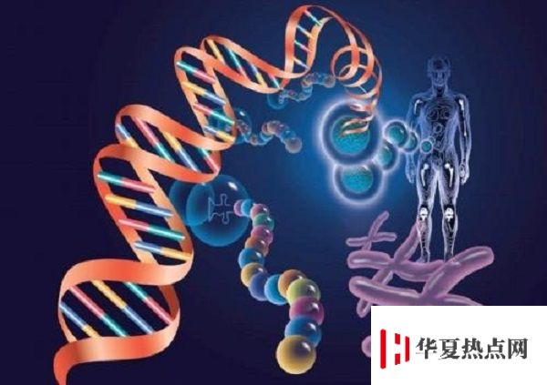 生物科學專業就業方向及就業前景分析