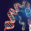 教育資訊：生物科學專業就業方向及就業前景分析