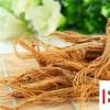 生活小知識：人參、紅參、西洋參的區別