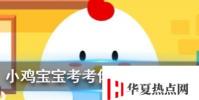 小雞寶寶知識問答:嘴里長了智齒一定要拔掉嗎