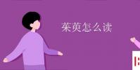 教育資訊:茱萸怎么讀