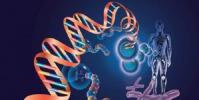 教育資訊:生物科學專業就業方向及就業前景分析
