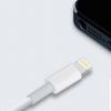 手機教程：iPhone快速充電小技巧