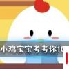 小雞寶寶知識問答：夏天的時候，鞋子經常會散發出異味，可以如何去除