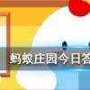 買首飾時,時常說到的K金是什么意思 螞蟻莊園知識問答