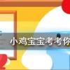 小雞寶寶知識問答：成語一龍一豬用來比喻兩個人