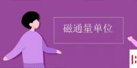 教育資訊:磁通量單位