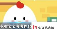 小雞寶寶知識問答:陽春白雪和下里巴人是指兩種人嗎