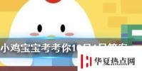 小雞寶寶知識問答:遇到心儀包包就忍不住買,買完又后悔,因為大腦中的什么在作怪