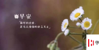生活小知識:早安的調皮句子有哪些?