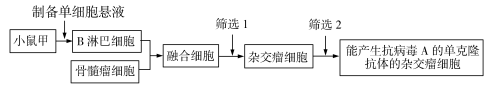 學科網(www.zxxk.com)--教育資源門戶，提供試題試卷、教案、課件、教學論文、素材等各類教學資源庫下載，還有大量豐富的教學資訊！