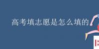 教育資訊:高考填志愿是怎么填的