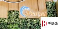 Akamai的新基于AI的PageIntegrityManager可以處理惡意站點腳本
