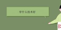 教育資訊:學什么技術好