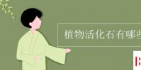 教育資訊:植物活化石有哪些