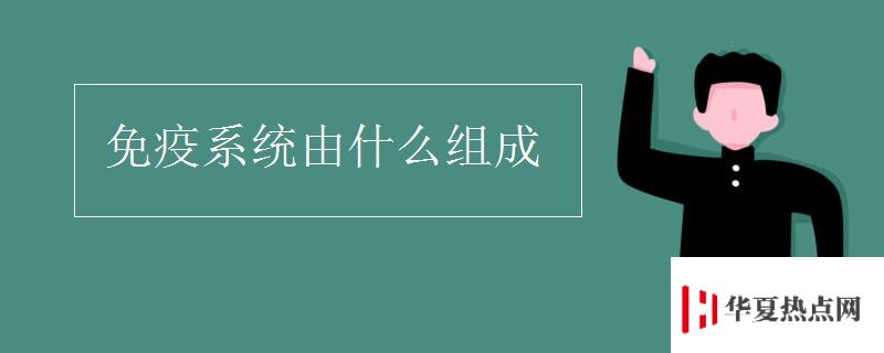 免疫系統由什么組成