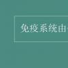 教育資訊：免疫系統由什么組成