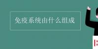 教育資訊:免疫系統由什么組成