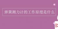 教育資訊:彈簧測力計的工作原理是什么
