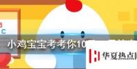 小雞寶寶知識問答:巧克力是很多人眼里的美食,能喂給狗狗吃嗎