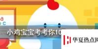 小雞寶寶知識問答:黃花地丁,婆婆丁是什么植物