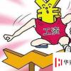 生活小知識：教師轉行的根本原因，教師轉行做什么好