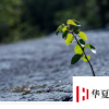 生活中的關鍵保護因素
