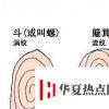 生活小知識：你手上有多少個螺，決定你的性格！