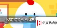 小雞寶寶知識問答:年輕時近視到老了就不會得老花眼了