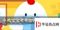 小雞寶寶知識問答:世界三大樂器包括以下哪一項