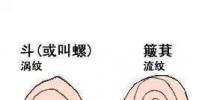 生活小知識:你手上有多少個螺,決定你的性格!