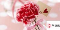 生活小知識:教師節送什么鮮花?