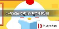 小雞寶寶知識問答:在夏天青蛙為什么會呱呱呱地叫個不停