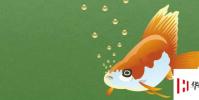 生活小知識:如何淹死一只魚?