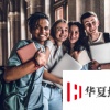 高等教育充斥著眾多學院和大學提供的在線課程