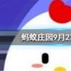 人體最堅硬的部位是 螞蟻莊園知識問答