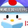 我們經常飼養的寵物龍貓是貓嗎 螞蟻莊園知識問答