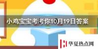 小雞寶寶知識問答:我們經常飼養的寵物龍貓是貓嗎