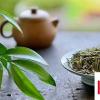 生活小知識：品春茶有什么講究