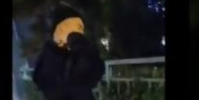 太原一男子當街虐貓畫面曝光