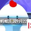 貓咪睡覺時為什么把身體蜷成團螞蟻莊園知識問答