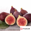 生活小知識：無花果汁液可以祛斑嗎？