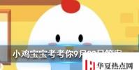 小雞寶寶知識問答:貓咪睡覺時為什么把身體蜷成團