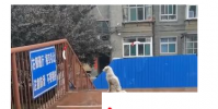 山西一大學封校兩狗日夜隔橋相望