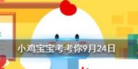 小雞寶寶知識問答:為什么有的針要打在屁股上有的卻打在胳膊上