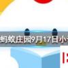 切蛋糕時怎么做可以使切口平整且不粘螞蟻莊園知識問答