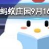 目前我國使用的結婚證上的花是什么花螞蟻莊園知識問答